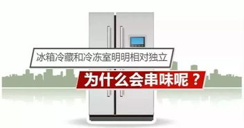 如何解决冰箱串味困扰？中国家用电器研究院专家有话说