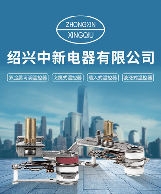 中新电器 温控器领跑者炼成记